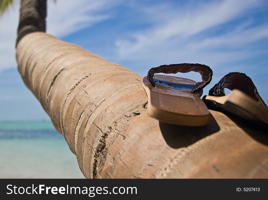 Shoes on the palm tree of Bavaro beach