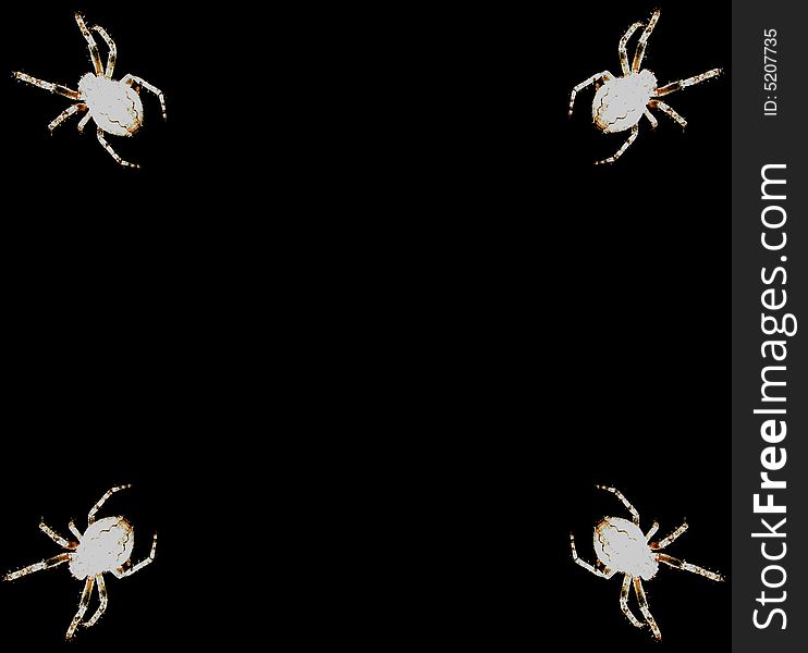 Photo with the image of four spiders on corners.