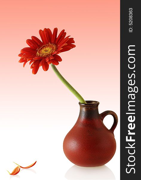 Gerber In Red Vase With Couple Single Petals