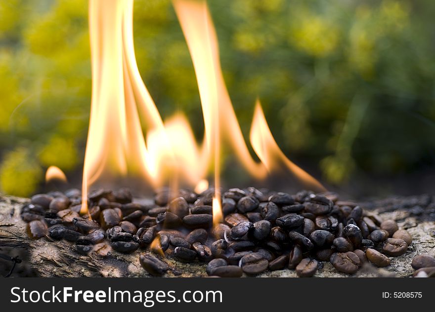 Burning coffee beans close up