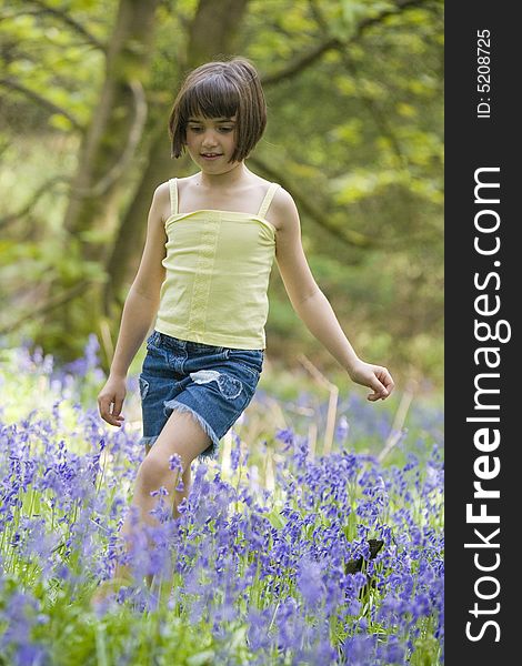 Young female child walking through a field of bluebells. Young female child walking through a field of bluebells