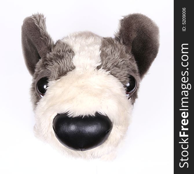 Gray and white plush dog toy close-up. Gray and white plush dog toy close-up