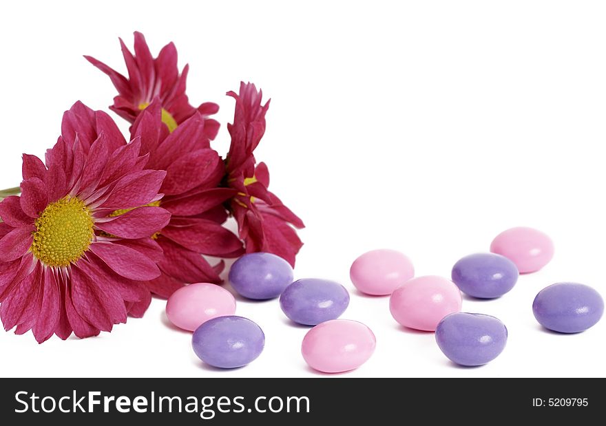 Bright pink daisy flowers with colorful candy isolated on white background