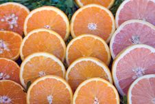 Citrus Fruits Stock Photo Citrus Fruits Stock Photo