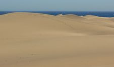 Dunes Stock Photography