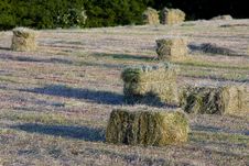 Packed Hay Stock Images Packed Hay Stock Images