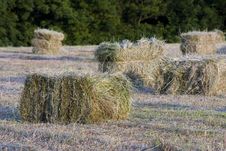 Packed Hay Stock Image Packed Hay Stock Image