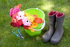 Daises In A Bucket, Secateurs & Boots - Yardwork Royalty Free Stock Photography Daises In A Bucket, Secateurs & Boots - Yardwork Royalty Free Stock Photography
