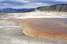 Mammoth Hot Springs Stock Photography