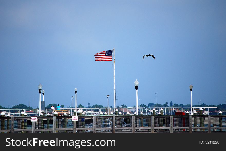 Picture of an american flag with a pelican flying by