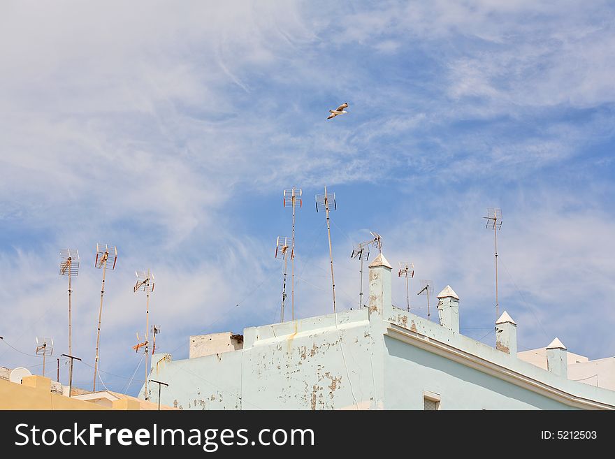 Antennas mounted on a roof and seagull in the blue sky