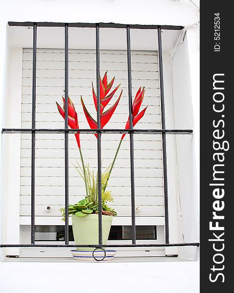 Red flowers in window behind the metal bars