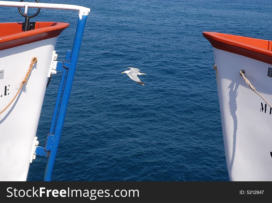 A white seagull flying between tow white boats over a blue sea. A white seagull flying between tow white boats over a blue sea