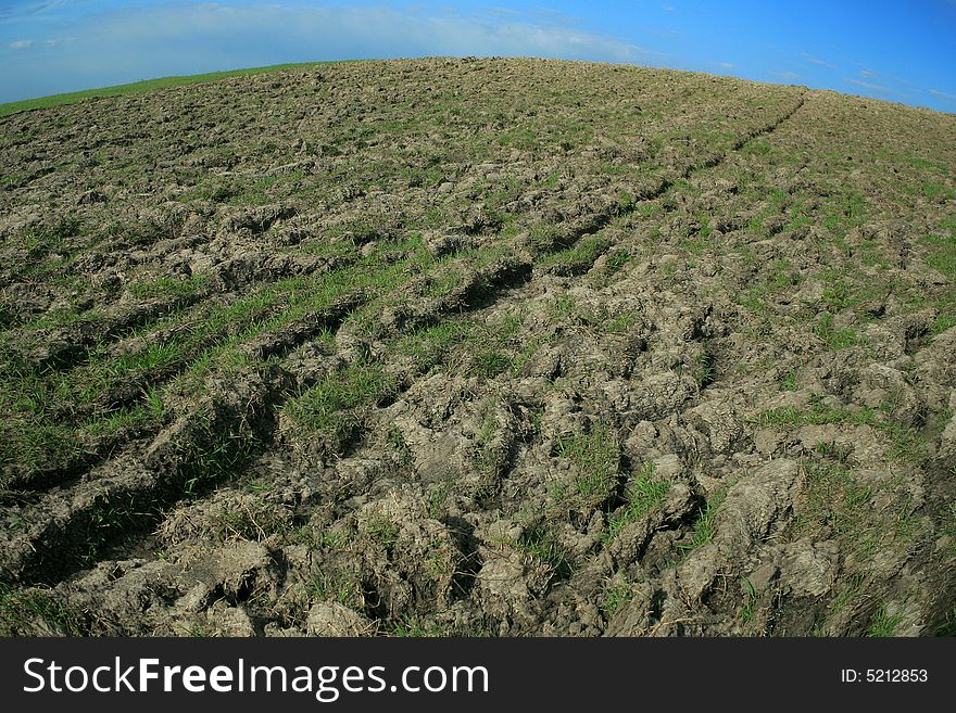 An image of a field with some grass on it. An image of a field with some grass on it