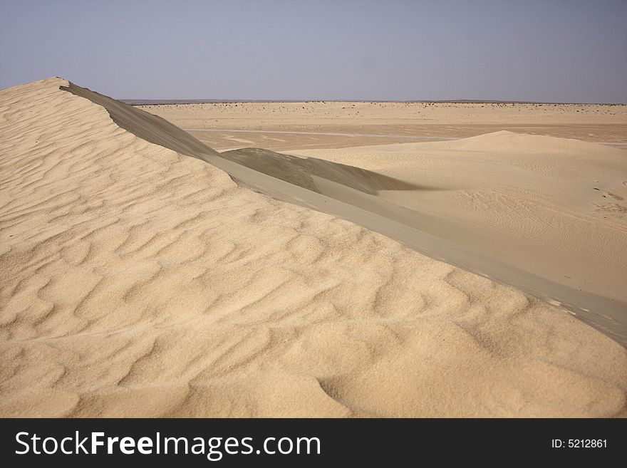 Sandy dune in Sahara desert