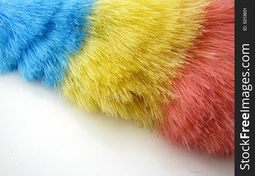 Color feathers on a white background. Color feathers on a white background