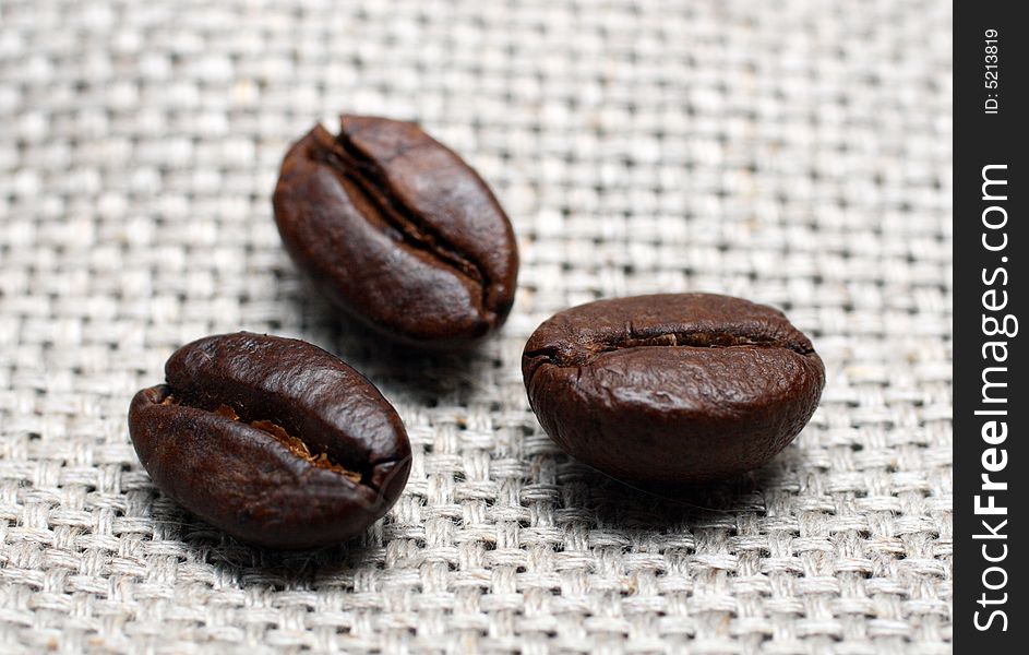 Three coffee beans close-up on canvas background. Three coffee beans close-up on canvas background