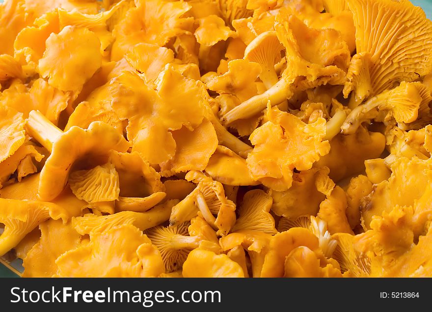 Chanterelle mushrooms on plate as a background