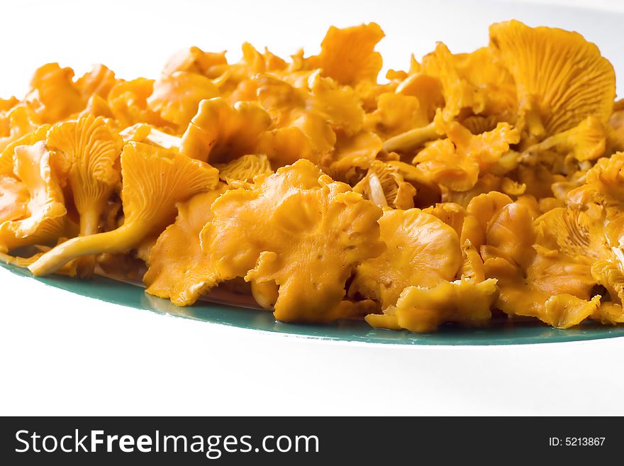 Chanterelle mushrooms on plate isolated on white  background