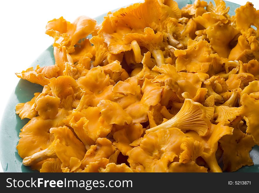 Chanterelle mushrooms on plate isolated on white background