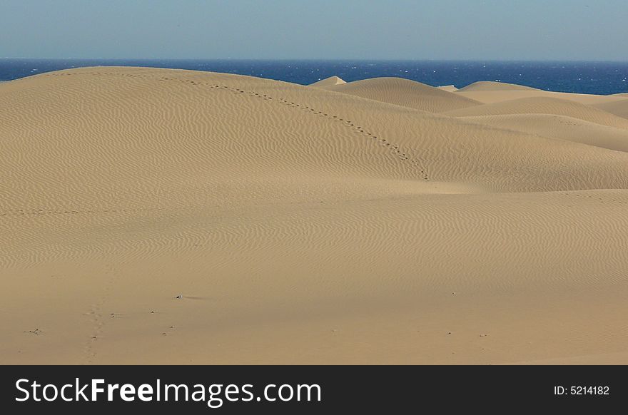 Going over a desert sand,through the dunes.View of  Canaries dunes in the Gran Canaria's island