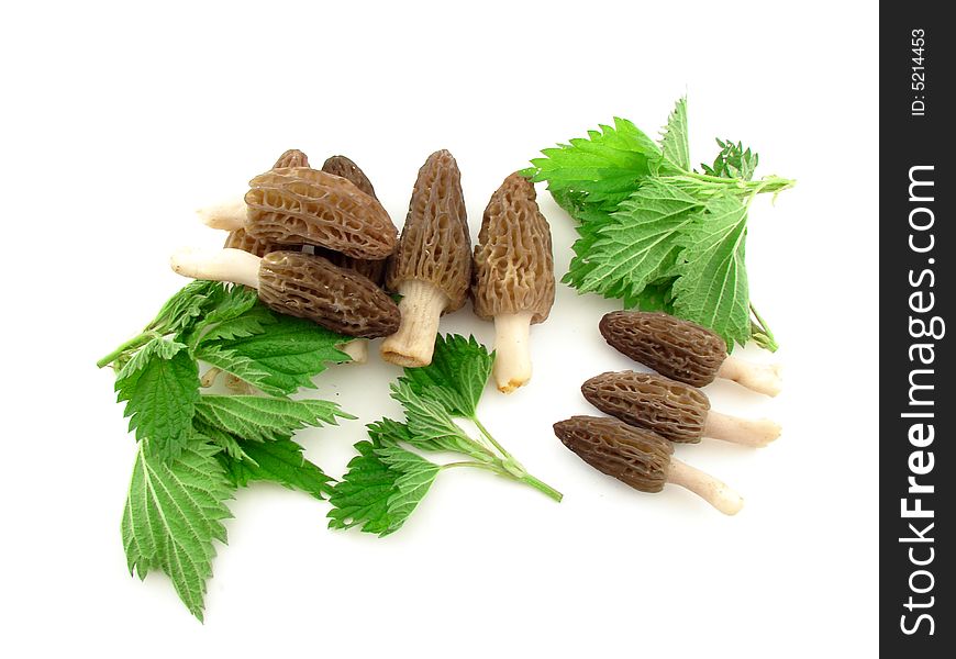 Morel mushrooms and nettles leaves isolated over white. Morel mushrooms and nettles leaves isolated over white.