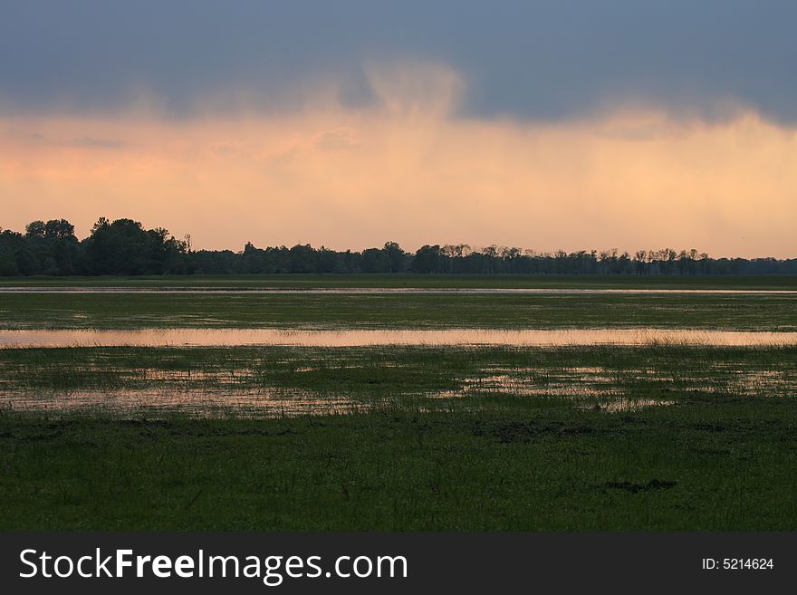 Meadow and pools of water