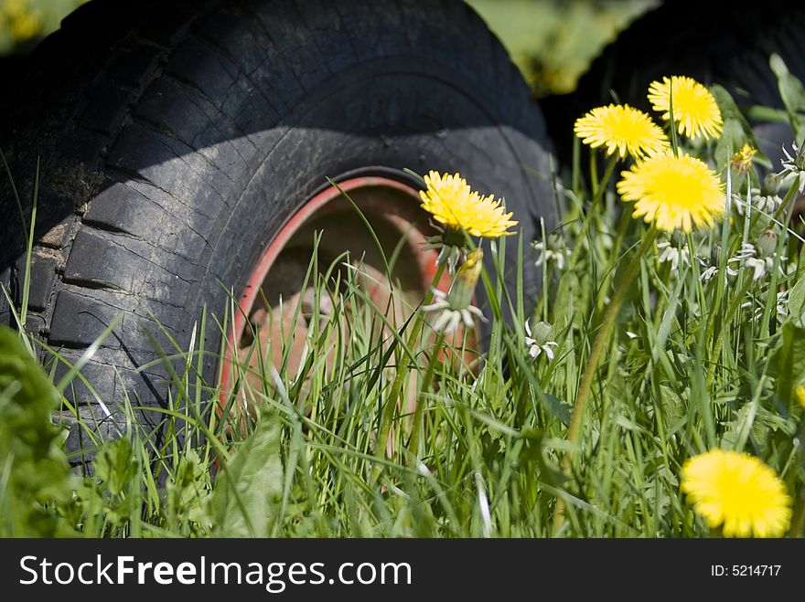 A close picture of the very old worn wheel  on the field with yellow wild flowers and grass