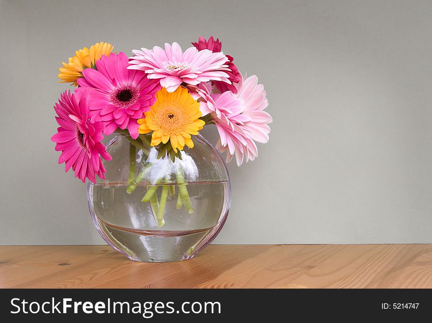 Gerber daisies in a glass vase - room for copy. Gerber daisies in a glass vase - room for copy