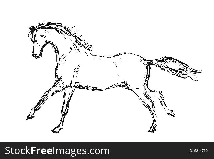 A hand-drawn sketch of a running horse. A hand-drawn sketch of a running horse