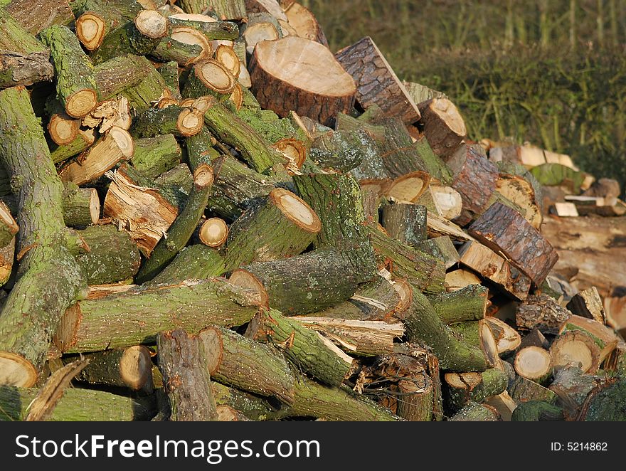 Large pile of timber logs