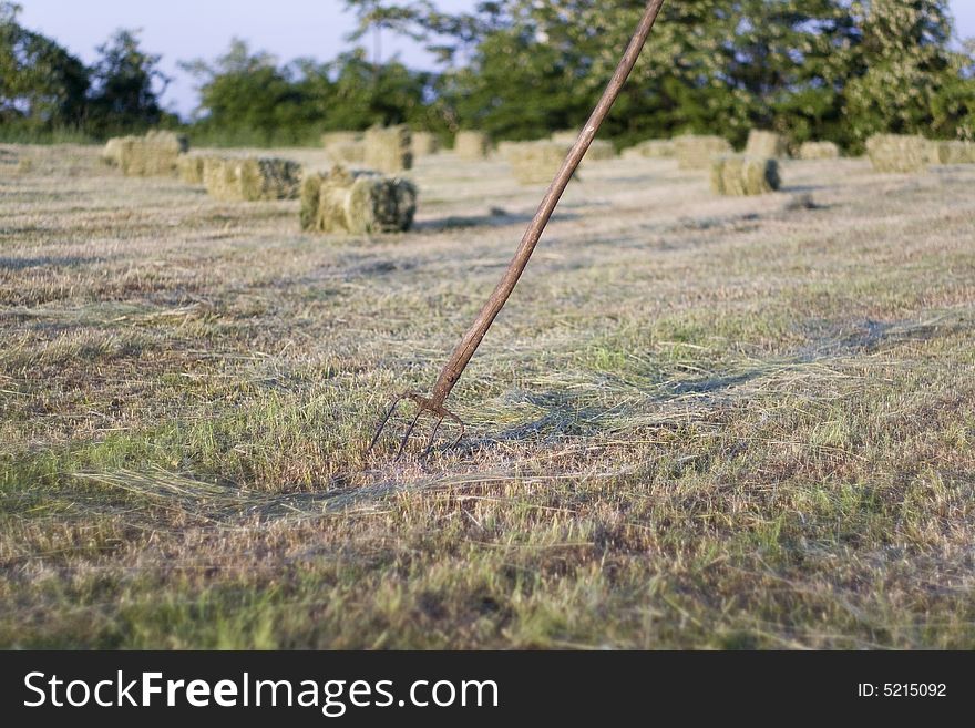 Field of packed hay agriculture, countryside, hay, spring, village, field works, Europe, mowing, hayfork