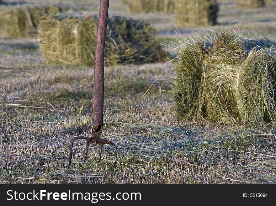 Field of packed hay, agriculture, countryside, hay, spring, village, field works, Europe, mowing, hayfork