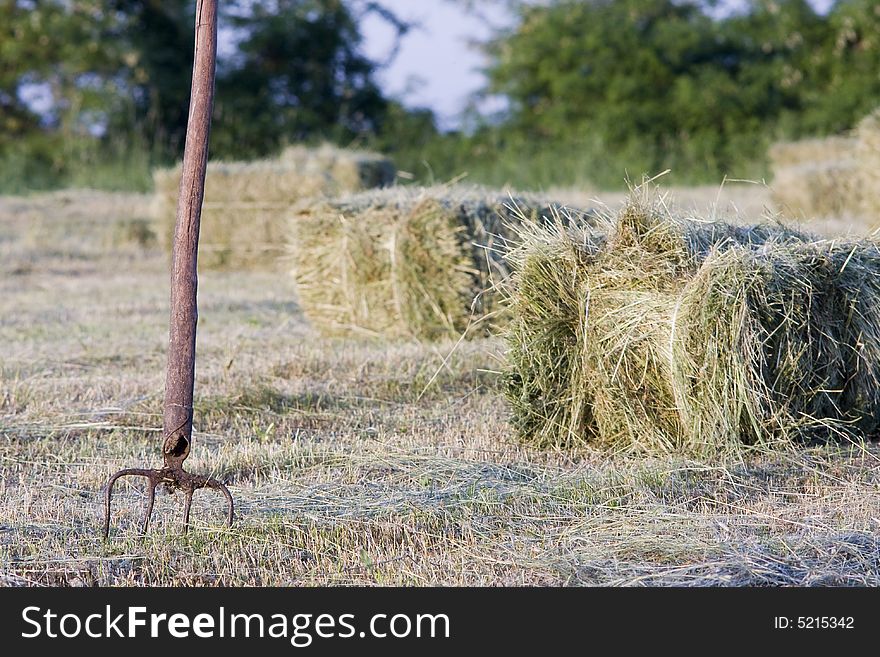 Field of packed hay agriculture, countryside, hay, spring, village, field works, Europe, mowing, hayfork