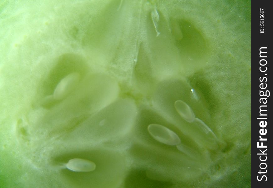 Half of cucumbers' lobule in all photo. Half of cucumbers' lobule in all photo