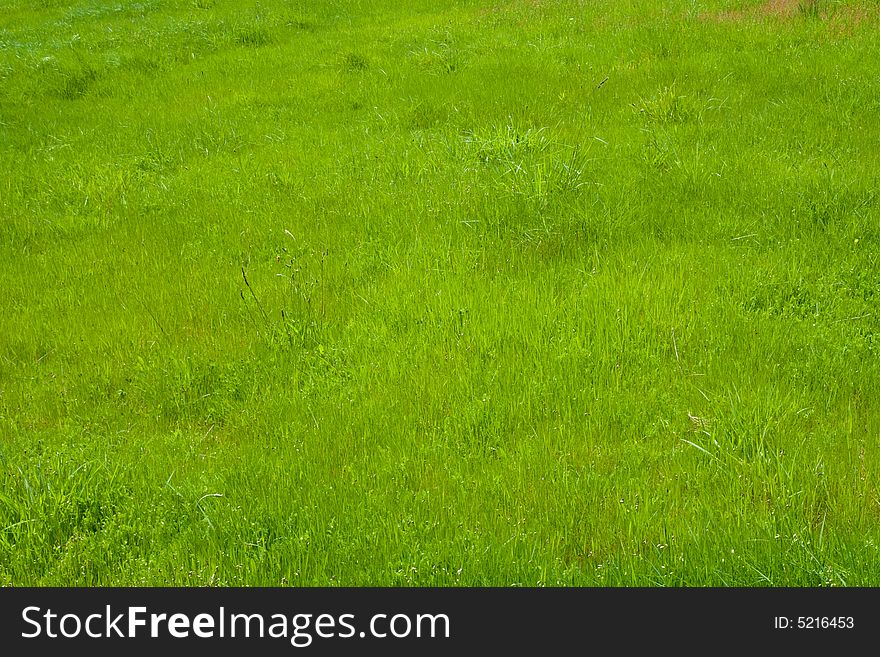 Grass II