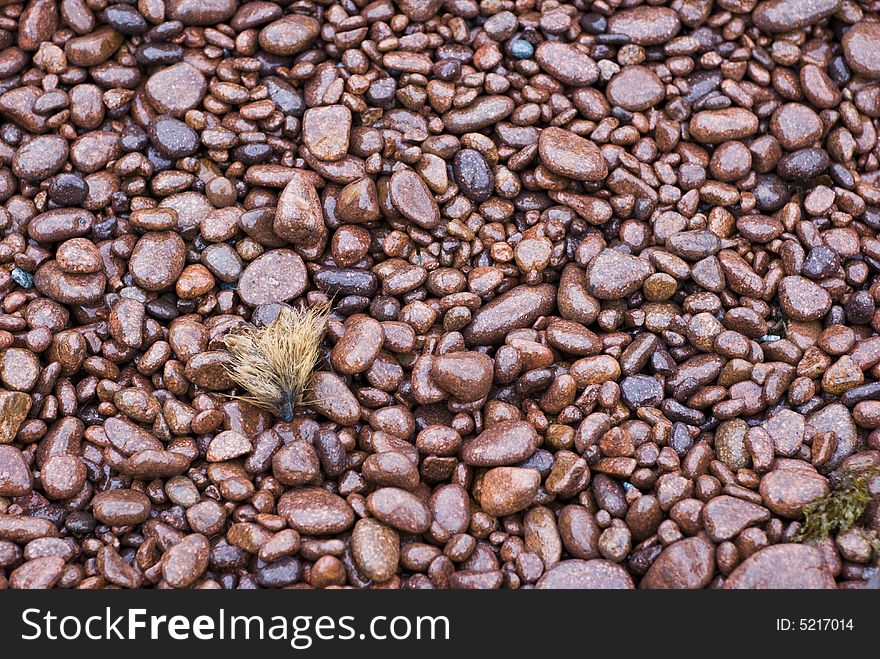 Red stones of provence coast