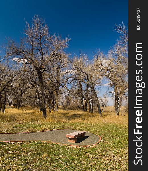 Bench in March - A nice place for a rest during a walk,