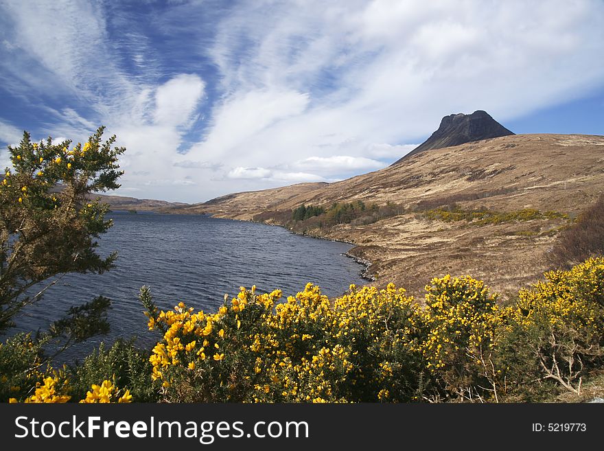 Stac Pollaidh above Loch Lugainn with gorse bush in foreground. Stac Pollaidh above Loch Lugainn with gorse bush in foreground
