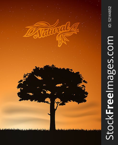 Background  concept of ecology. tree against sunset. Background  concept of ecology. tree against sunset