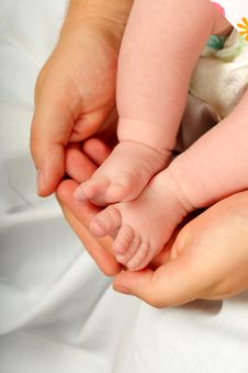 Baby Feet In Dads Hand Stock Image Baby Feet In Dads Hand Stock Image