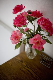 Flowers Stock Images Flowers Stock Images