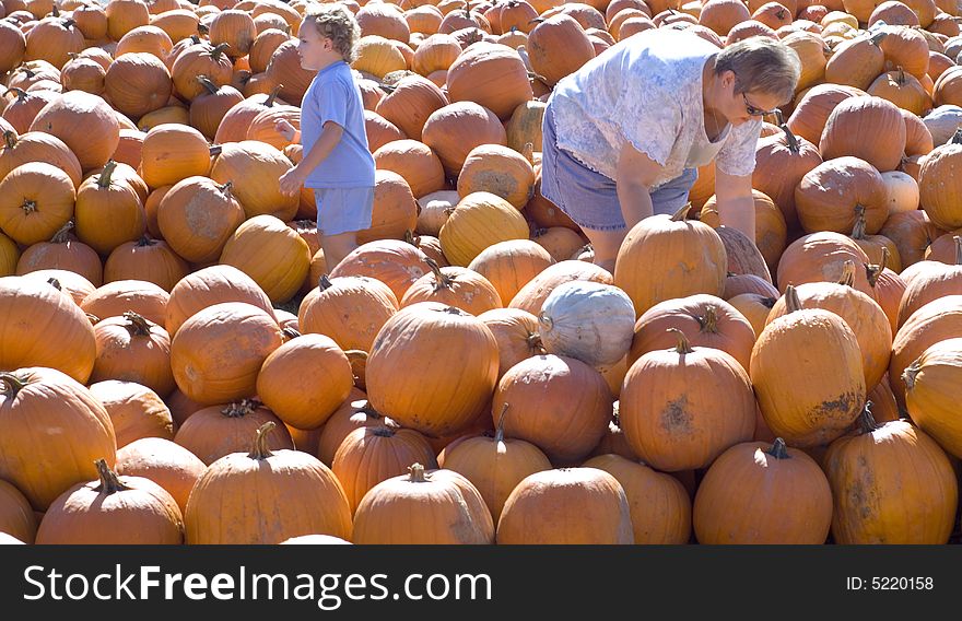 Perfect Pumpkin Hunt