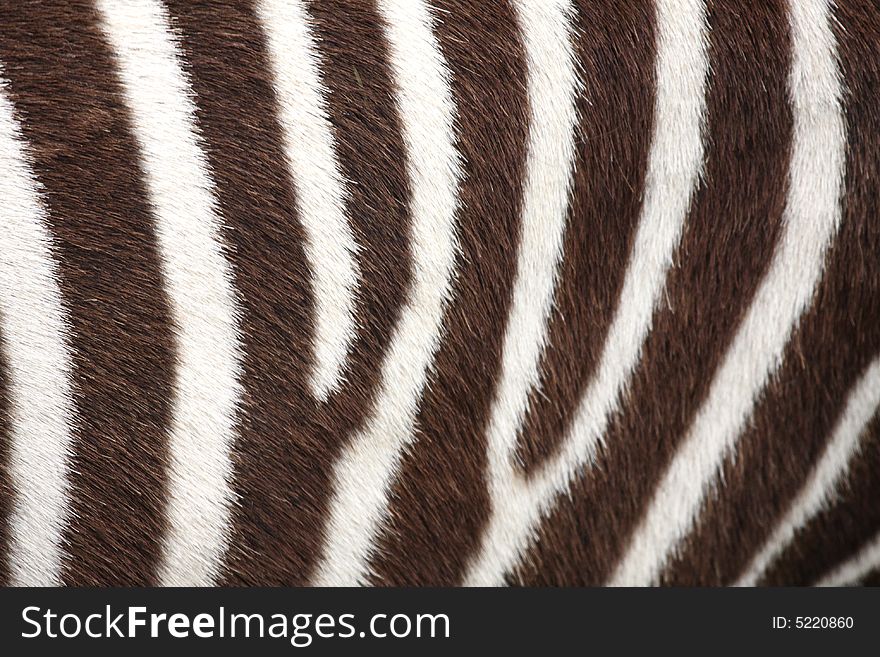 Black and White stripes