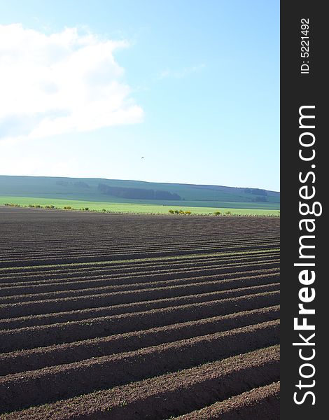 Plough field (furrowed) in North East Scotland. Plough field (furrowed) in North East Scotland