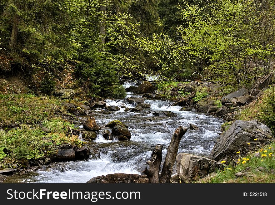 Mountain river in the forest of mountains with a waterfall
