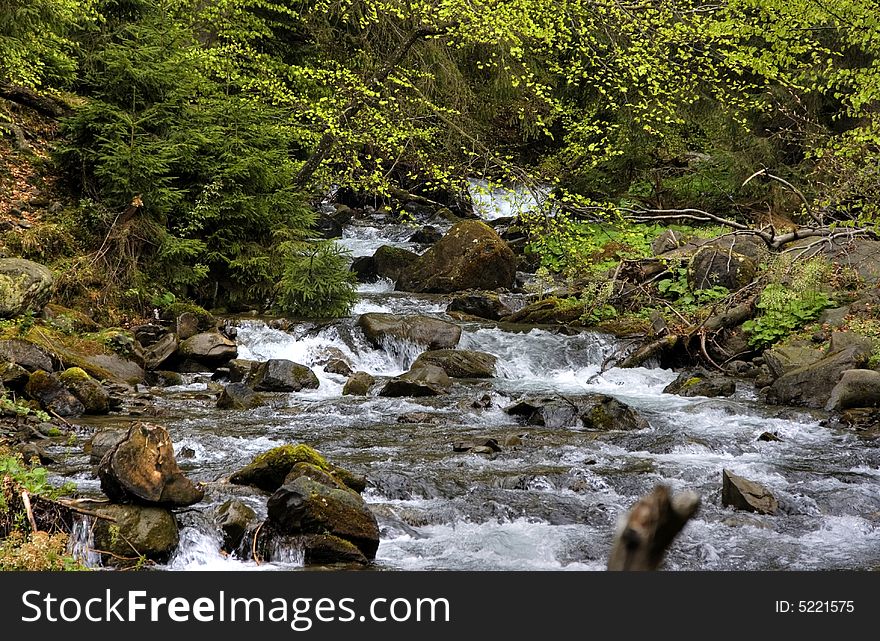 Mountain river in the forest of mountains with a waterfall