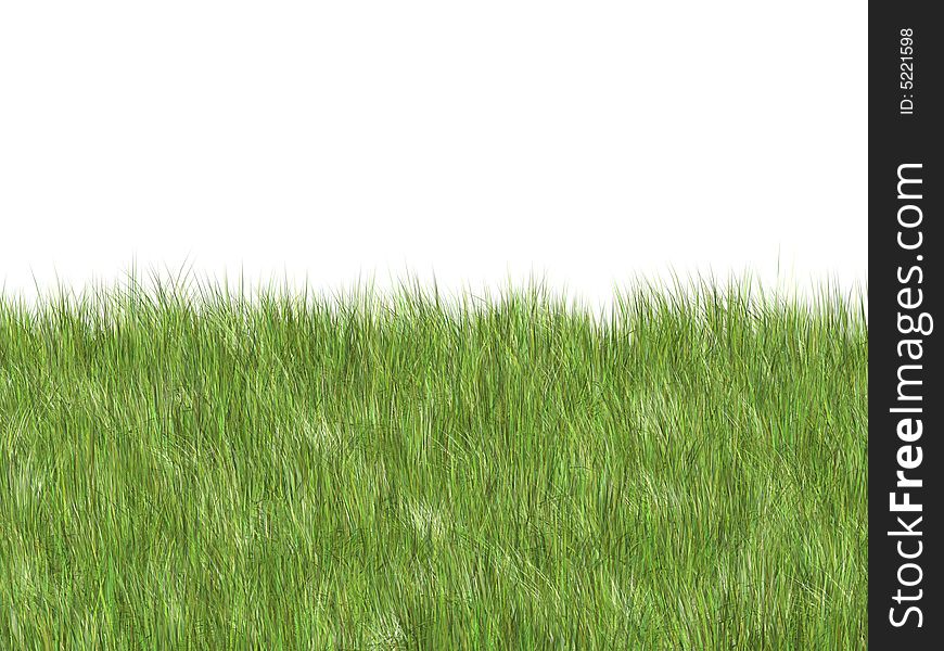 Soft 3d grass over white. Soft 3d grass over white