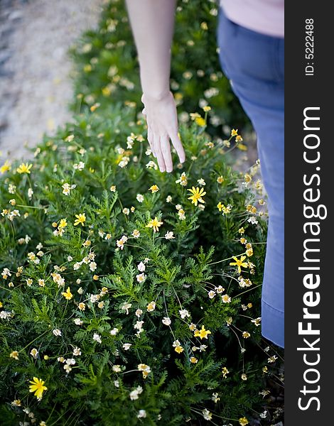 Woman touching plant