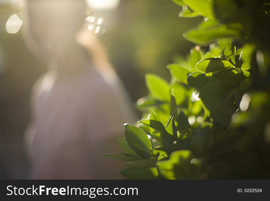 Young woman in pink standing in sunlight next to green bush. Young woman in pink standing in sunlight next to green bush